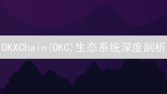 OKXChain(OKC)生态系统深度剖析：价值捕获与未来展望