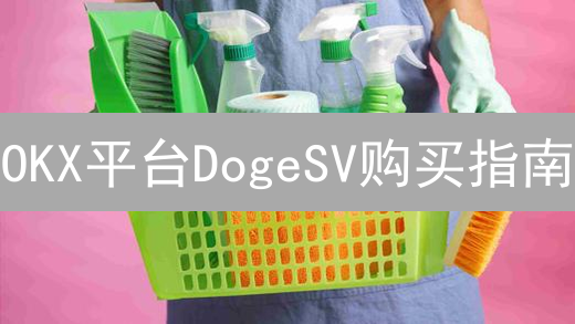 OKX平台DogeSV购买指南：探索下一个加密货币前沿