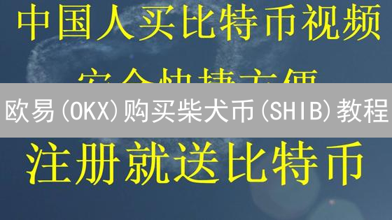 欧易(OKX)购买柴犬币(SHIB)教程：新手也能轻松上手？