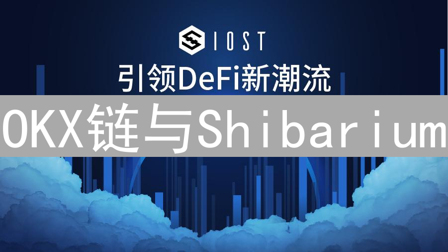 OKX链与Shibarium：生态、技术与愿景深度解析