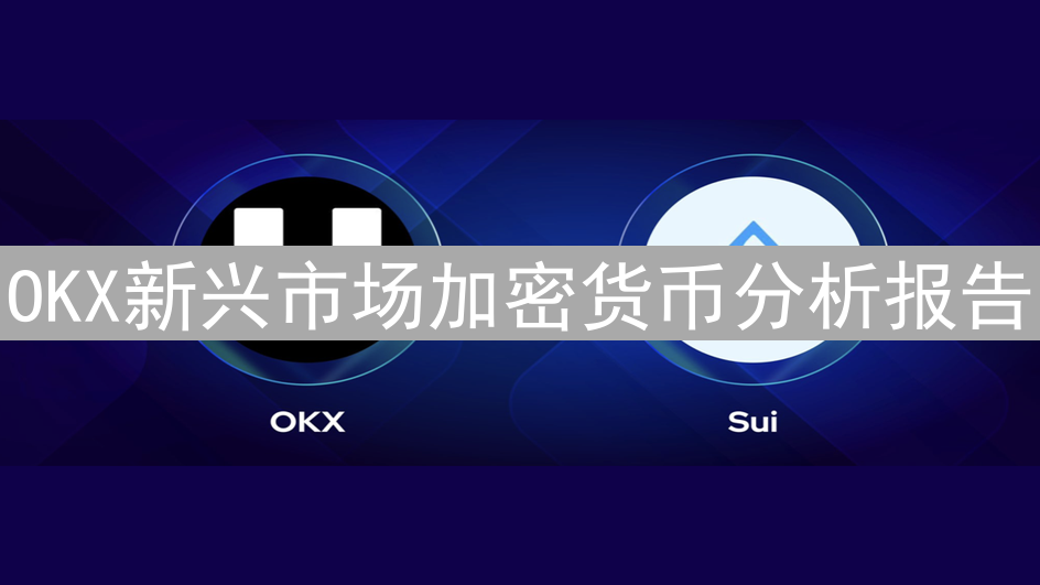 OKX新兴市场加密货币分析报告