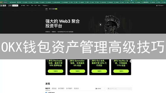 OKX钱包资产管理高级技巧：精进加密货币投资策略