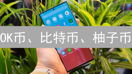 OK币、比特币、柚子币：深度比较与分析 - 加密货币投资指南