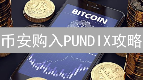 币安购入PUNDIX攻略：新手也能轻松上手！【必读】