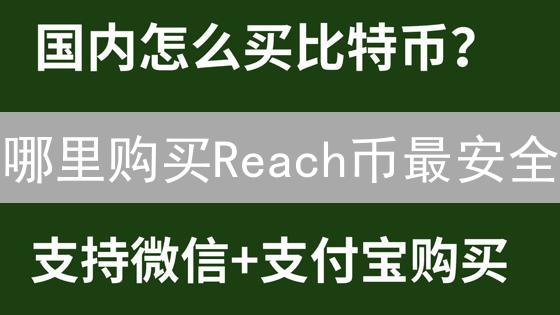 哪里购买Reach币最安全？交易所选择指南