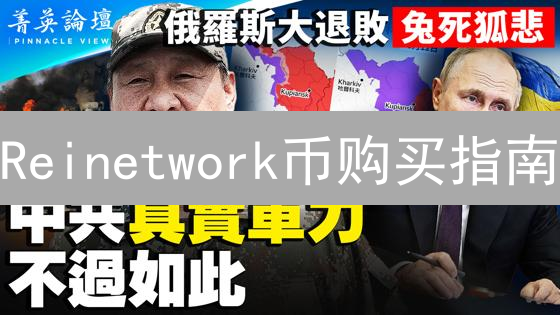 Reinetwork币购买指南：新手入门教程与交易平台选择