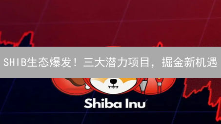 SHIB生态爆发！三大潜力项目，掘金新机遇？