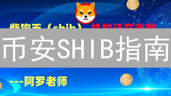 币安SHIB指南：新手也能玩转现货、合约与质押！