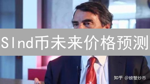 Slnd币未来价格预测：技术、基本面与市场情绪分析