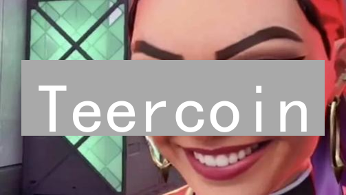 Teercoin：隐私保护的未来？数据授权与价值互联网的革新！