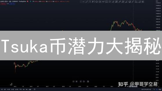 Tsuka币潜力大揭秘：机遇与挑战并存？速看！