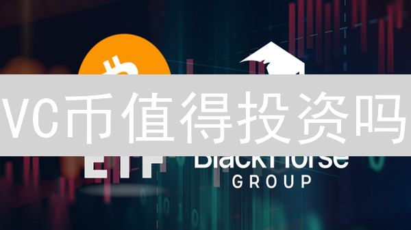 VC币值得投资吗？深度剖析风险与机遇！