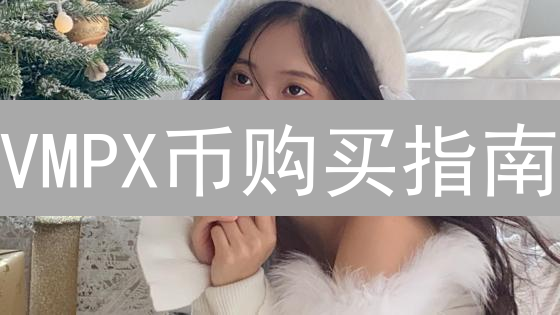 VMPX币购买指南：BRC20代币交易详解与钱包选择