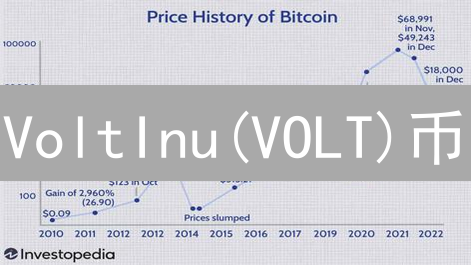 VoltInu(VOLT)币：通货紧缩与多元化投资的加密货币详解