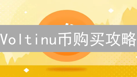 Voltinu币购买攻略：精打细算实现利益最大化方案解析