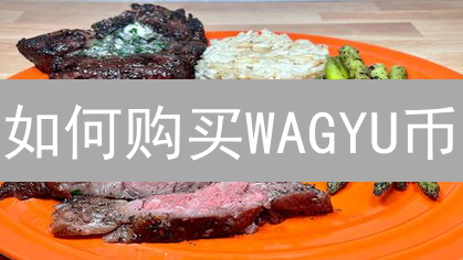 如何购买WAGYU币？新手指南与风险提示！