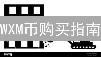 WXM币购买指南：探索最佳购买渠道与实用建议