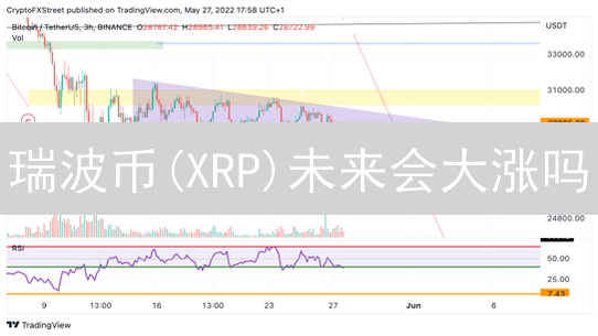 瑞波币(XRP)未来会大涨吗？专家深度分析与前景展望