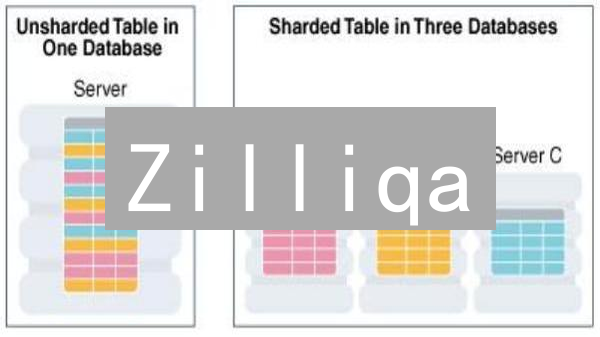 Zilliqa：颠覆传统区块链，分片技术能否成就高性能未来？