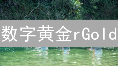 数字黄金rGold：购买XAUT的秘密通道？新手也能轻松入门！